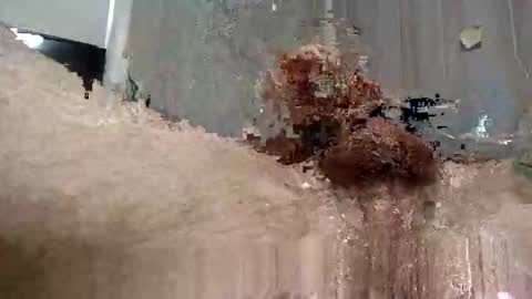 Snapshot of yourwishismypleasure1 chatting on November 17, 2025, 8:47 pm yourwishismypleasure1 online show from November 17, 2025, 8:47 pm