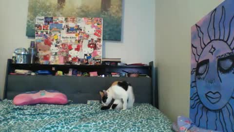 Snapshot of zaddyslilslutbucket chatting on September 13, 2025, 10:20 pm zaddyslilslutbucket online show from September 13, 2025, 10:20 pm