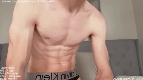 Snapshot of zandersparks chatting on November 15, 2025, 1:03 am Zander Sparks online show from November 15, 2025, 1:03 am