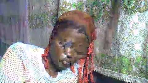 zarinamarlin online show from March 28, 2026, 8:19 pm