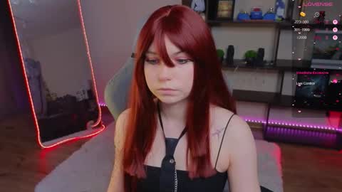 Zelda online show from February 15, 2026, 11:08 am