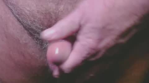 bambi cumslut online show from February 23, 2026, 2:09 am