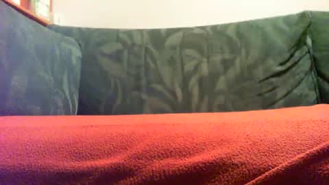 zevioo77 online show from September 18, 2025, 8:11 pm