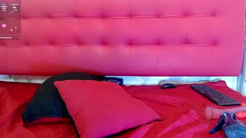 ZHAMIRA  ANDRES online show from February 19, 2025, 12:03 am