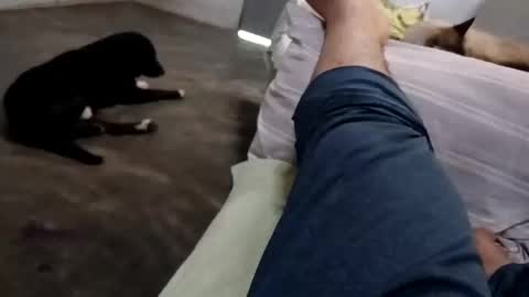 Snapshot of zitojose73 chatting on October 8, 2025, 6:49 pm zitojose73 online show from October 8, 2025, 6:49 pm