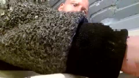 zolexthomas online show from January 26, 2025, 4:51 pm