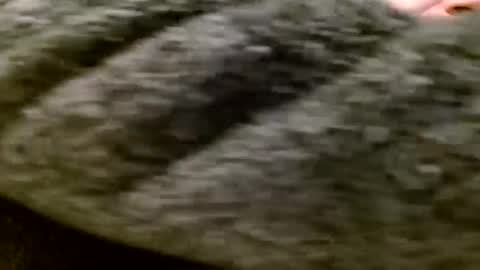 zolexthomas online show from January 28, 2025, 5:35 pm