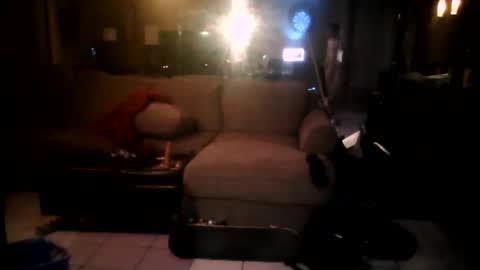 Snapshot of zooroxxx101 chatting on January 14, 2026, 7:36 am zooroxxx101 online show from January 14, 2026, 7:36 am