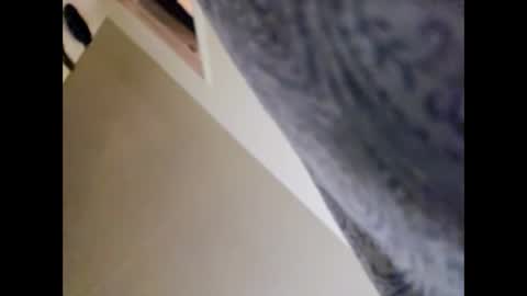 Snapshot of zx66_pyro chatting on December 31, 2024, 10:12 pm zx66_pyro online show from December 31, 2024, 10:12 pm