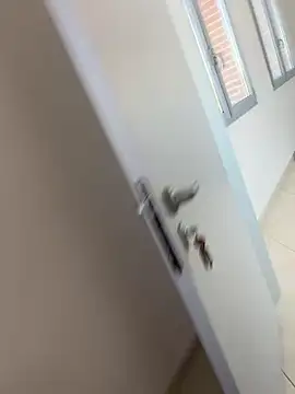 buodiculo online show from February 27, 2025, 8:28 am