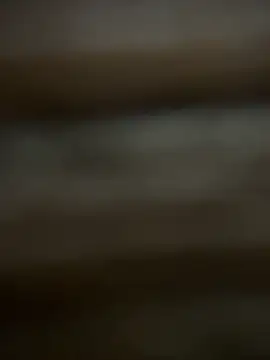 buodiculo online show from March 25, 2026, 7:25 am