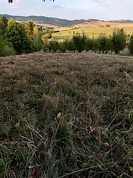 Nishu12356g online show from September 8, 2025, 4:06 pm