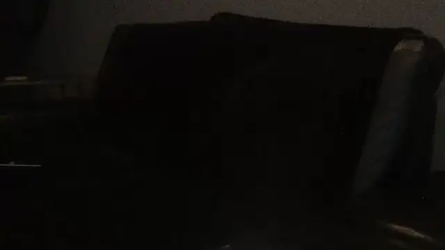 Pup Rush online show from September 21, 2025, 12:45 am