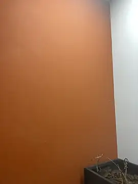 Snapshot of YesTheSexiest chatting on November 11, 2025, 9:20 am YesTheSexiest online show from November 11, 2025, 9:20 am