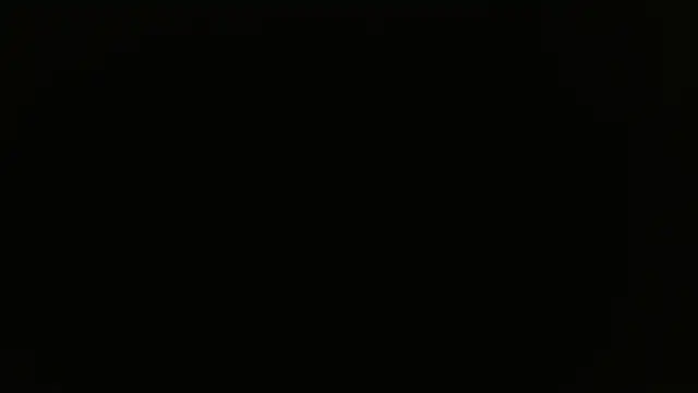 miley jensen online show from December 19, 2024, 8:02 am