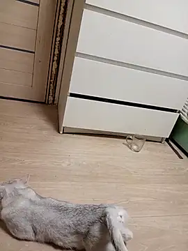 Linda Gregory online show from February 18, 2026, 11:33 pm