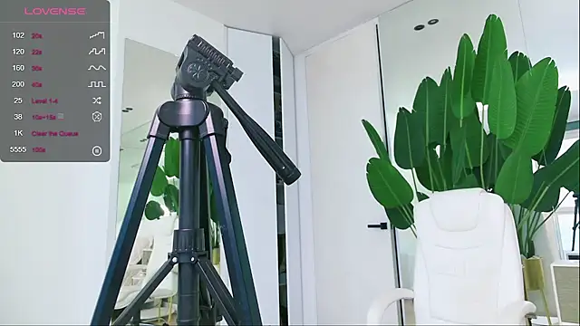 Snapshot of wowEva chatting on January 31, 2025, 11:56 am wowEva online show from January 31, 2025, 11:56 am