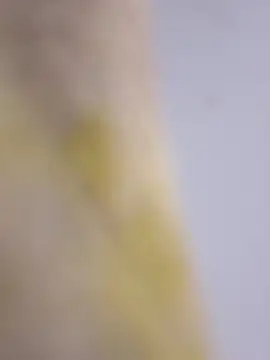 Mane leet online show from January 14, 2026, 1:50 pm