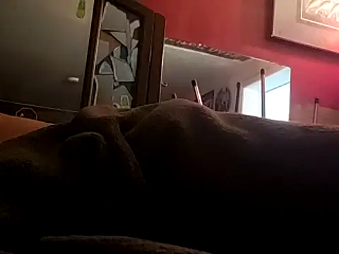 JRock69nKzoo online show from November 12, 2025, 11:54 am