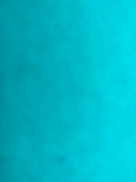 JRock69nKzoo online show from February 21, 2026, 12:28 pm