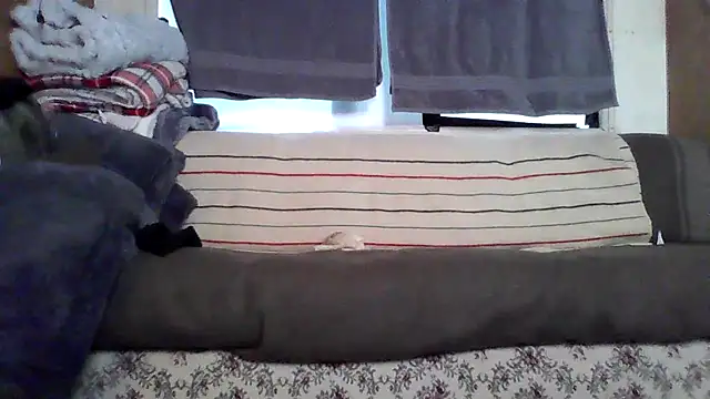 Snapshot of deepstroker42071 chatting on March 14, 2026, 9:31 pm deepstroker42071 online show from March 14, 2026, 9:31 pm