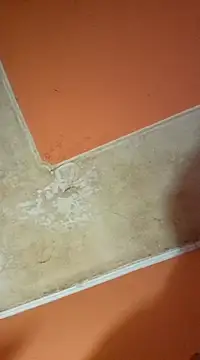 ducicsajsziii online show from March 19, 2025, 3:08 pm