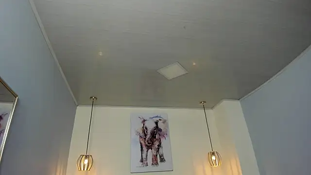 ayshel   online show from April 11, 2026, 2:49 am