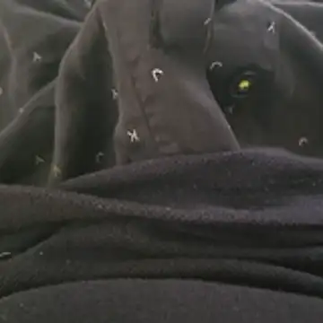 surfer fun29 online show from December 2, 2025, 5:35 am