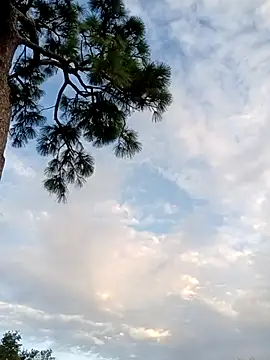 Hotbodyscottie online show from October 5, 2025, 11:41 am