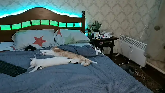 FelvivalKitty online show from January 8, 2025, 9:23 pm