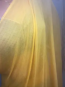 kannadatelugugirl online show from December 23, 2024, 2:17 pm