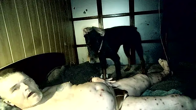 DjiniCD online show from April 26, 2026, 5:43 pm