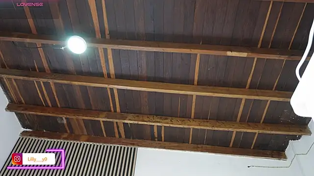 LillyDolls23 online show from February 13, 2026, 1:07 pm