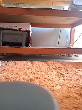 poloplayer123 online show from February 13, 2026, 2:02 pm