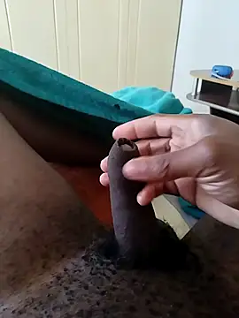 Sunbeam11 online show from April 29, 2026, 10:08 am