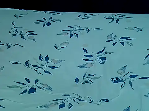 HoneyBun143 online show from April 11, 2026, 8:02 pm