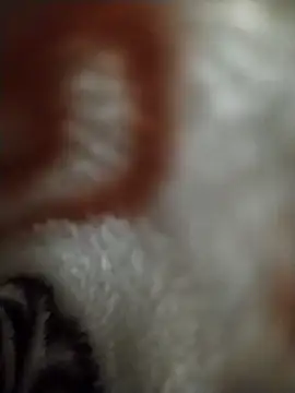 Snapshot of FantasticWonders9 chatting on April 12, 2026, 10:26 pm FantasticWonders9 online show from April 12, 2026, 10:26 pm