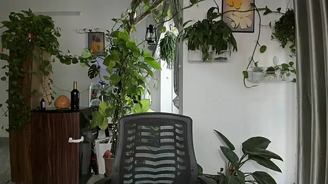 Oliver Nl online show from January 7, 2026, 4:48 am