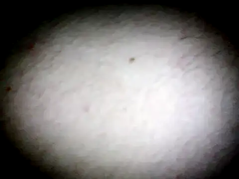 anald66666 online show from January 13, 2025, 7:43 am