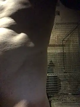 Snapshot of Josele1981 chatting on May 1, 2026, 8:46 pm Josele1981 online show from May 1, 2026, 8:46 pm