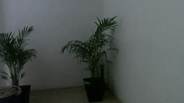 skylarhot420 online show from March 5, 2025, 12:00 pm