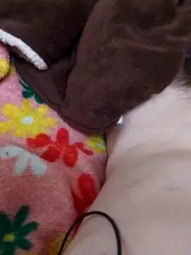 Adee21e online show from December 3, 2025, 2:15 pm