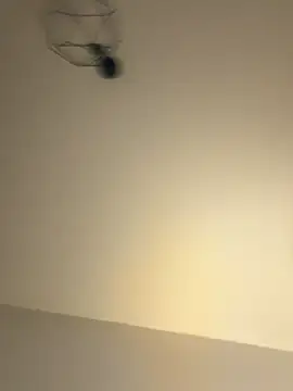 Guitccch online show from January 17, 2026, 6:33 pm