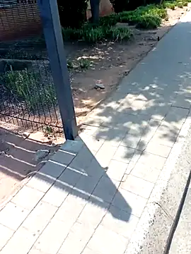 KinkyYours online show from October 4, 2025, 10:24 am