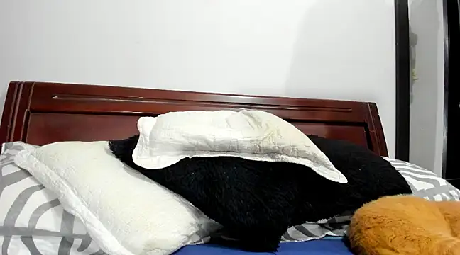 aleziiacam online show from February 14, 2025, 3:11 am