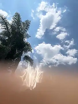 Snapshot of THEBUTTERNUT chatting on February 6, 2026, 11:02 am THEBUTTERNUT online show from February 6, 2026, 11:02 am