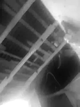 Snapshot of Jerryhottt chatting on November 20, 2025, 3:18 am Jerryhottt online show from November 20, 2025, 3:18 am