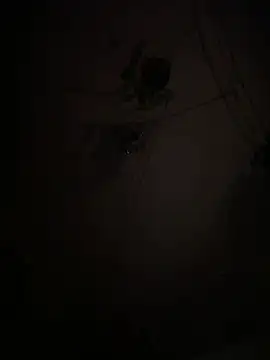 Snapshot of EnricoGio chatting on January 15, 2026, 1:21 am EnricoGio online show from January 15, 2026, 1:21 am