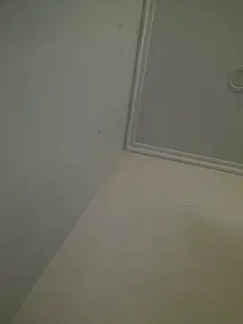 Snapshot of CieloTaylor chatting on February 25, 2026, 10:25 am CieloTaylor online show from February 25, 2026, 10:25 am