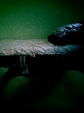 SOYMRX online show from December 17, 2024, 10:32 pm